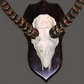 Lechwe Skull Mount