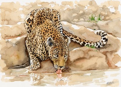 Leopard Watercolor 1