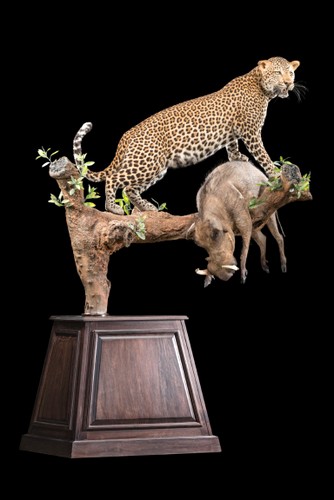 Leopard & Warthog Pedestal Mount