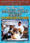 The Hunt For Marco Polo Sheep