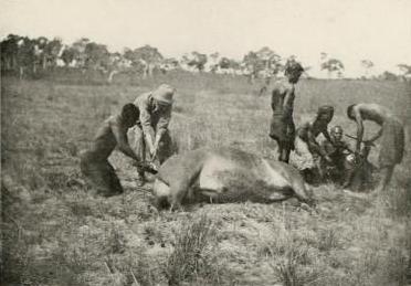 Melville William Hilton-Simpson