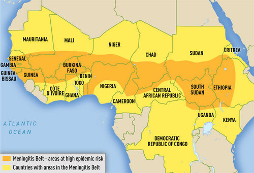 Meningitis In Africa Map