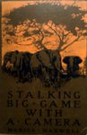 Stalking Big Game With A Camera In Equatorial Africa