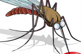 Insect Repellents For Africa