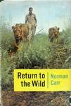 Return To The Wild: A Story Of Two Lions