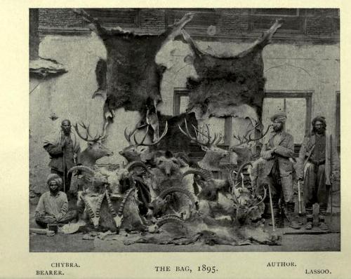 Major Neville Taylor Trophies Major Neville Taylor Trophies