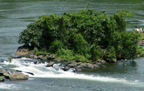 Uganda Exploratory Hunt Image Uganda Exploratory Hunt Image