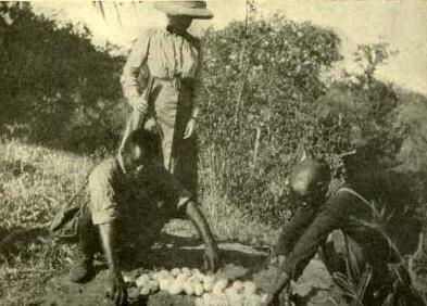 Norma Lorimer Norma Lorimer