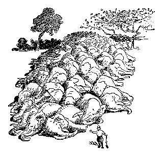 Drawing: The Elephant Hunter and His Bag