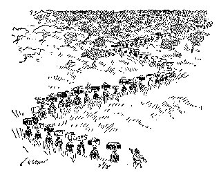 Drawing: Our Safari on the March