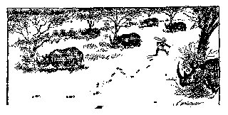 Drawing: A Morning Walk on the Tana River