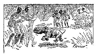 Drawing: A Real Rhino Charge