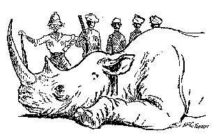 Drawing: Favorite Way of Being Photographed