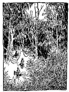 Drawing: In the Forest