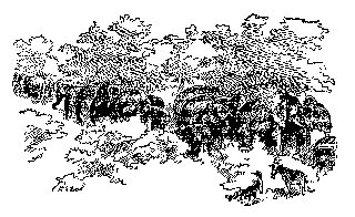 Drawing: Two Kongoni on Guard