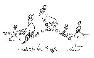 Drawing: The Policemen of the Plains