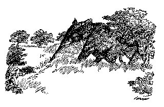 Drawing: It Started Back as Though Stung