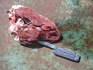 Buffalo Heart Buffalo Heart