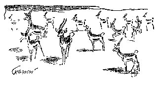 Drawing: Gazelle, with Wildebeest in Background