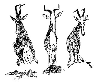 Drawing: Outward Bound-Reading Your Thoughts-Concluding your Intentions Are Hostile