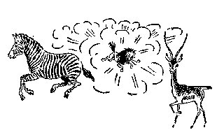 Drawing: Zebra, Wildebeest and Gazelle (Wildebeest in Middle)