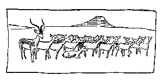 Drawing: Impalla Buck and Lady Friends