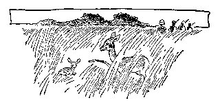 Drawing: Mamma and the Little One