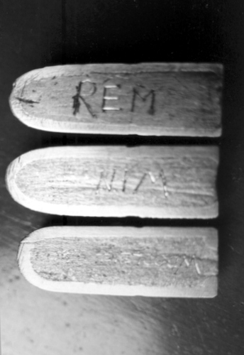 458 Caliber Rifle Image 458 Caliber Rifle Image