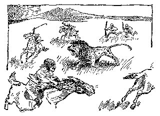 Drawing: Galloping Lions