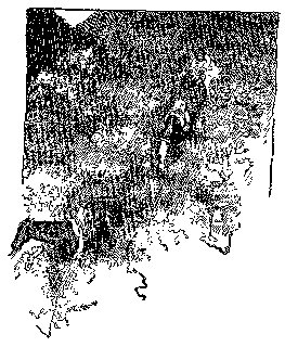 Drawing: Coming Down the Mountain