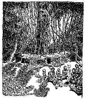 Drawing: The Wanderobos' Home