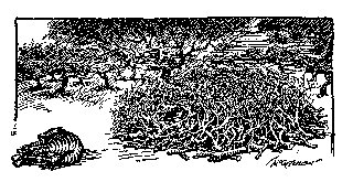 Drawing: The Boma Method Drawing: The Boma Method