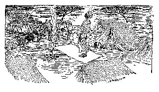 Drawing: The Chantecler of Our Safari