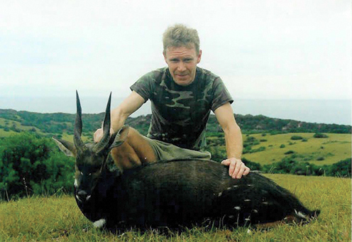 Cape Bushbuck Cape Bushbuck
