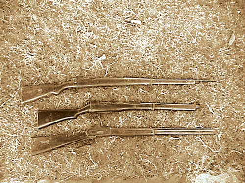 Lever Action In Africa