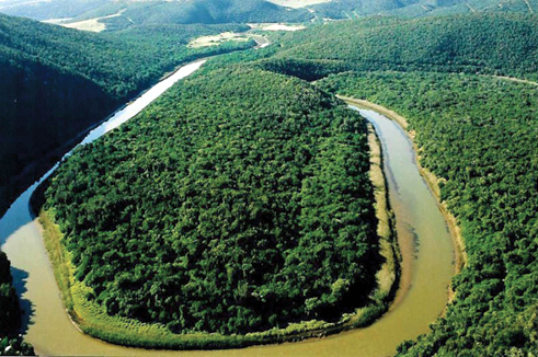 bushbuck country bushbuck country