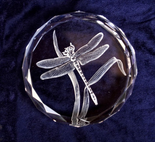 Crystal Glass Paperweight with Dragonfly