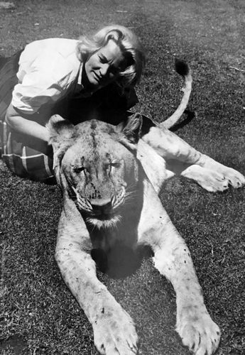 Patricia Cavendish O'Neill Patricia Cavendish O'Neill