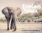 Elephants Of Africa