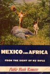 Mexico And Africa From The Sight Of My Rifle