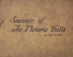 Souvenir Of The Victoria Falls