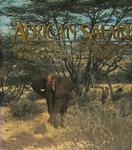 The African Safari: The Ultimate Wildlife And Photographic Adventure