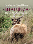 Hunting The Spiral Horns: Sitatunga: The Sly, Shy, Secretive One