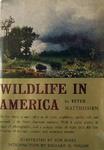 Wildlife In America