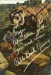 My Adventures With Tigers And Lions