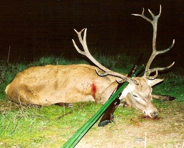 Red Deer Trophy