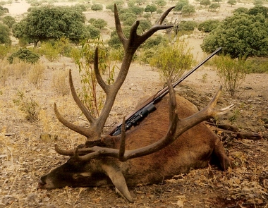 Red Deer Trophy