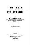 The Sheep And It's Cousins