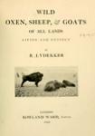 Wild Oxen, Sheep & Goats Of All Lands