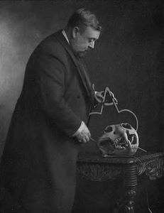 Rowland Ward Rowland Ward